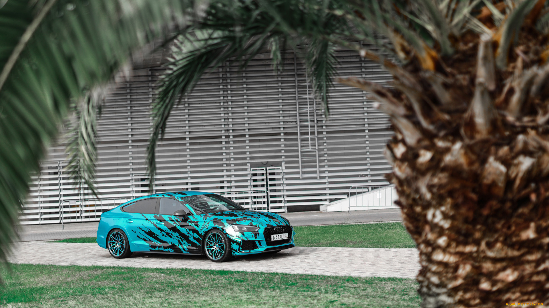 , audi, a5